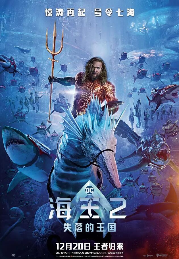 海王2:失落的王国 Aquaman and the Lost Kingdom (2023)